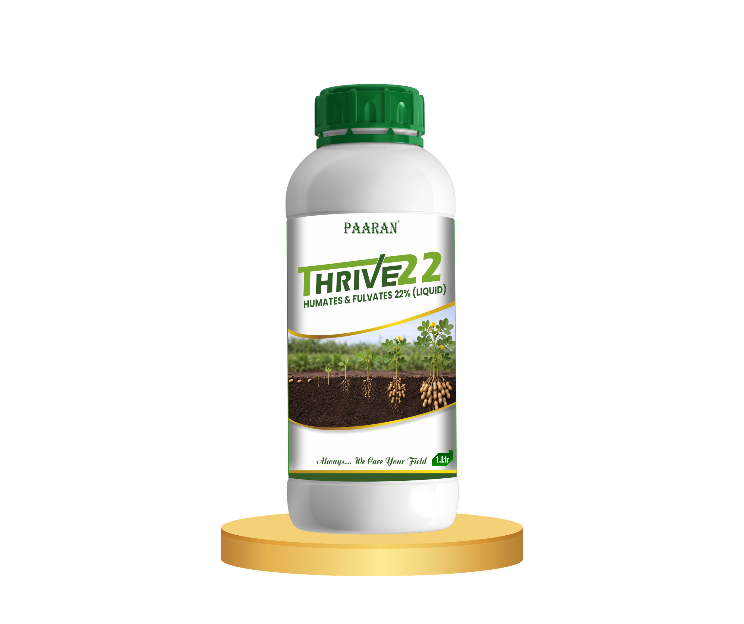 Thrive 22